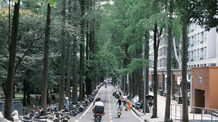 随笔|2024-05-27 门前泥泞路